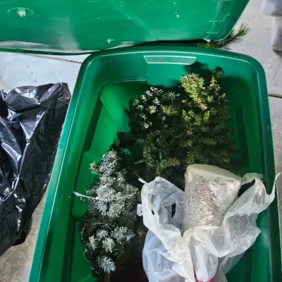 Sale Photo Thumbnail #6: christmas trees