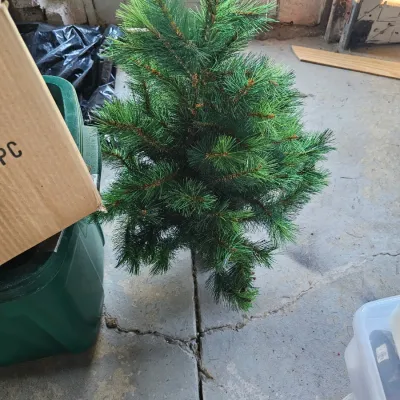 Sale Photo Thumbnail #31: christmas decor - tree