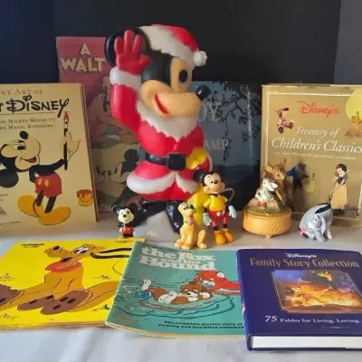 Disney Delight (LR)