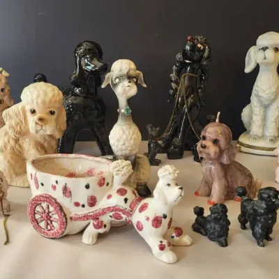 Poodle Collection - Lot #1 (LR)