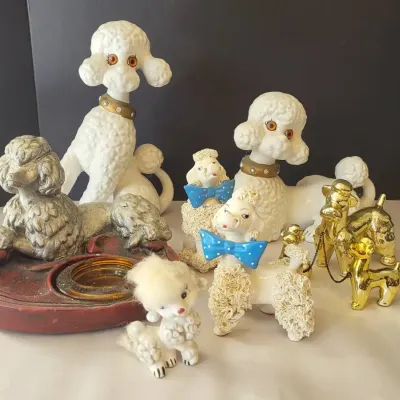 Poodle Collection - Lot #3 (LR)