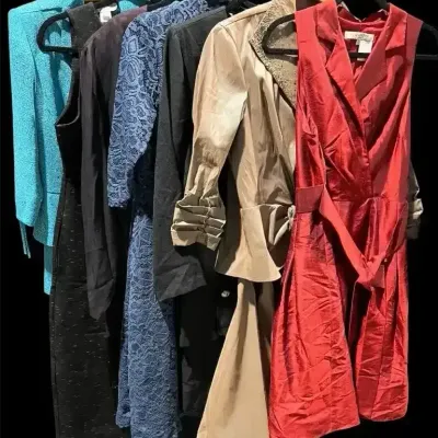 Evan-Picone, Lysse, Tadashi Shoji, Cynthia Howe & More Dress Mystery Lot