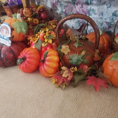 Sale Photo Thumbnail #29: pumpkin patch