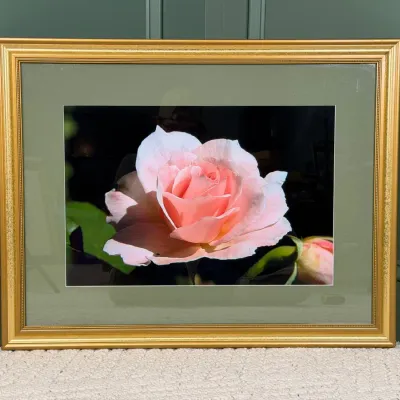 Sale Photo Thumbnail #220