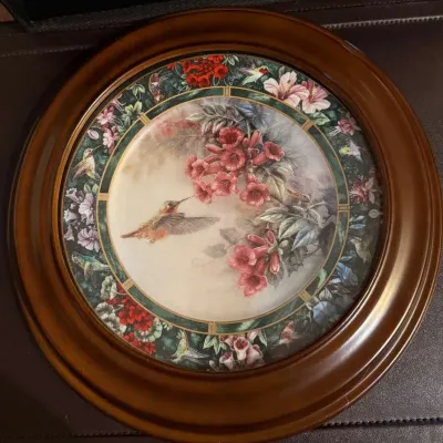 Lena Liu “The Allen’s Hummingbird” Framed Collector Plate, Hummingbird Treasury 8th Issue