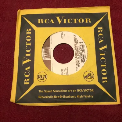 Marvin Gaye & Tammi Terrell – “If I Could Build My Whole World Around You” | T-54161