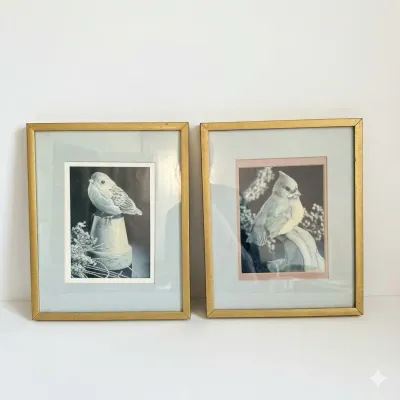 Vintage Framed Bird Print Pair