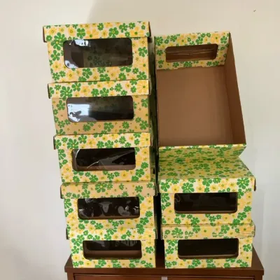 Retro Cardboard Storage Boxes w/ Lids & Window (8) - Mod, Flower Flower