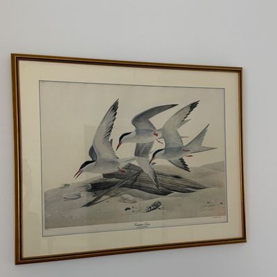 Sale Photo Thumbnail #119