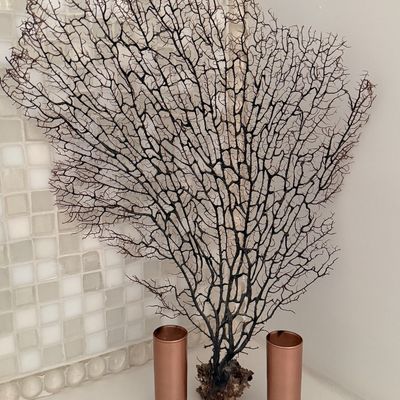 Large natural black sea fan coral specimen with a natural base, displayed alongside two small rose gold copper cylinders.