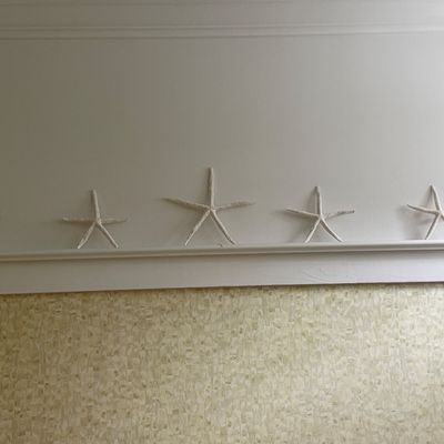 Collection of five natural dried sea stars in varying sizes displayed on a narrow shelf.