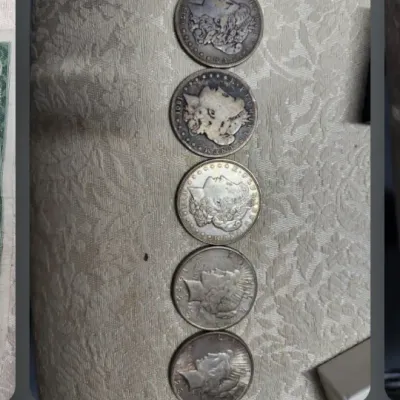 Five vintage United States silver dollars, including three Morgan dollars and two Peace dollars, showing varying degrees of wear and toning.