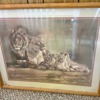 Sale Photo Thumbnail #56