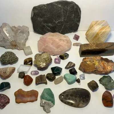 Geologic Collection - Quartz, Petrified Wood, Pyrite, Amethyst 