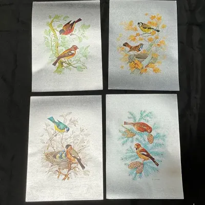 U. Selis Bird Series Vintage Foil Prints 14" x 10"