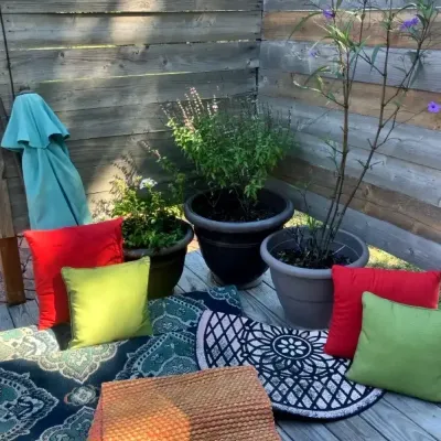 Live Mexican Petunia, Basil & Cape Plumbago Planters With Outdoor Rugs, Pillows & Umbrella