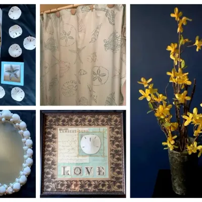 Coastal Seashell Decor With Sonoma Shower Curtain & Shell Mirror