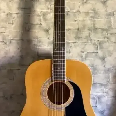 Silvertone Pro Series Guitar Signed by Luke Bryan, Luke Combs & More
