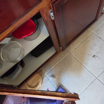 Sale Photo Thumbnail #76: Assorted glass food storage containers with lids, stored inside a dark wood kitchen cabinet.