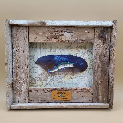 Handprints Sailfish on Macaw Feather - Framed In Lobster Trap - By Anne Schroeder