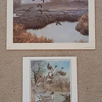 Sale Photo Thumbnail #39