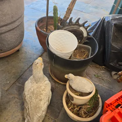 Sale Photo Thumbnail #505