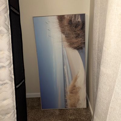 Sale Photo Thumbnail #33: Large framed canvas print depicting a serene beach and sand dune landscape, resting on a carpeted floor.