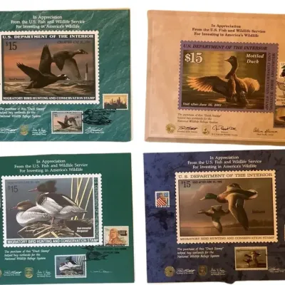 Migratory Bird Hunting and Conservation Stamps - Set Of Four Appreciation Cards Lot 1