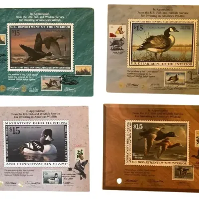 Migratory Bird Hunting and Conservation Stamps - Set Of Four Appreciation Cards Lot 2
