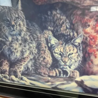 Sale Photo Thumbnail #61: Framed wildlife art print depicting two bobcats in a rocky shelter, mounted with a dark mat and simple dark frame.