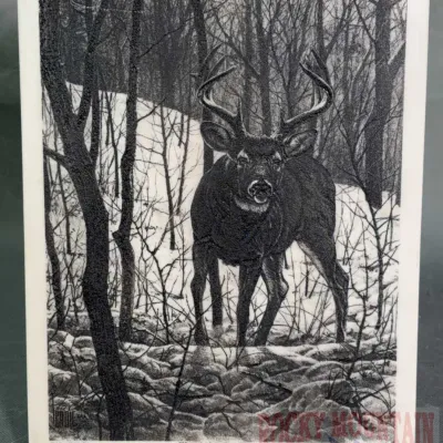Sale Photo Thumbnail #868