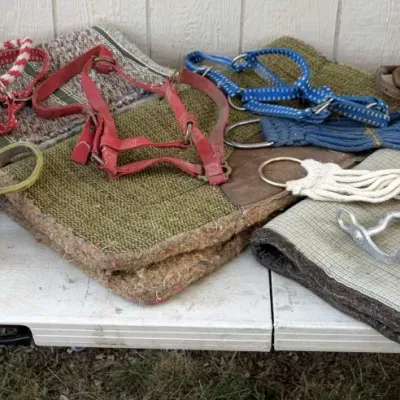 Sale Photo Thumbnail #724