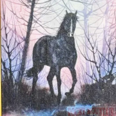 Sale Photo Thumbnail #508