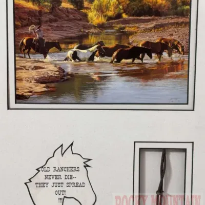 Sale Photo Thumbnail #931