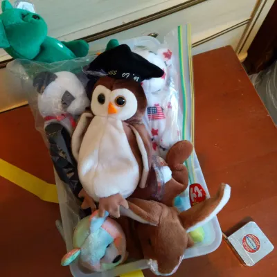 10 Beanie Babies Mystery Lot