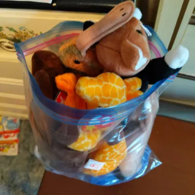 Mystery Lot of 10 TY Beanie Babies