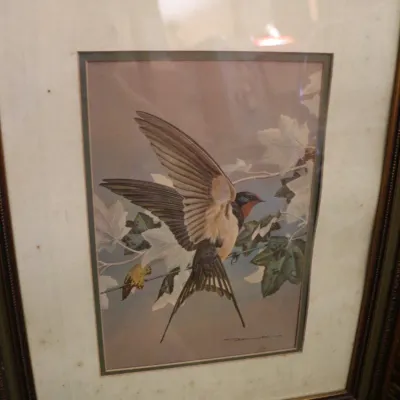 Sale Photo Thumbnail #1471