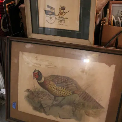Sale Photo Thumbnail #1833