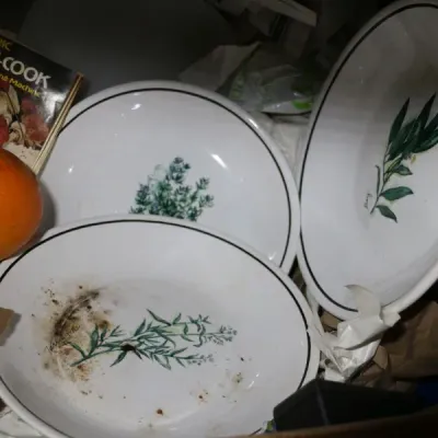 Sale Photo Thumbnail #381