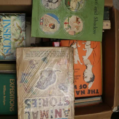 Sale Photo Thumbnail #1956