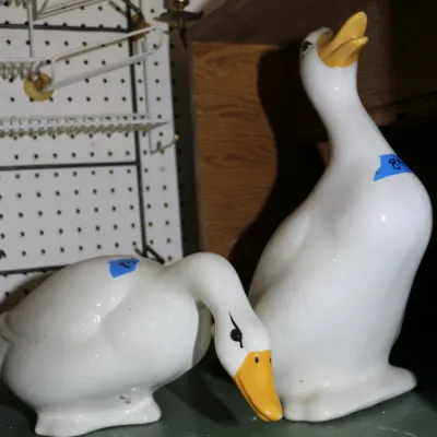 Sale Photo Thumbnail #372