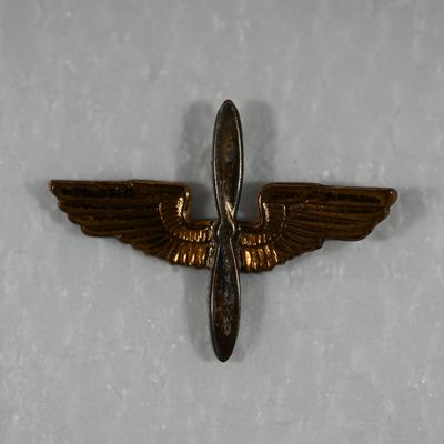 Sale Photo Thumbnail #361: WW II - WW2 US Army Air Force Cadet Insignia - Lot of 8