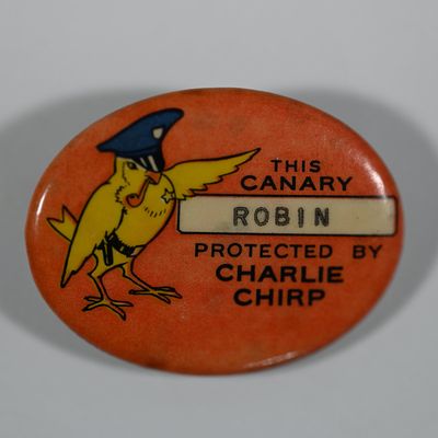 Sale Photo Thumbnail #299: This Canary - Robin - Protected by Charlie Chirp - Radio Show