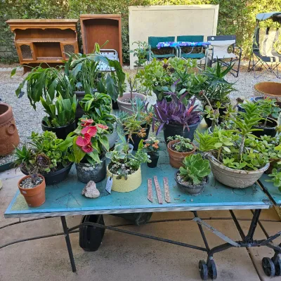 Sale Photo Thumbnail #150