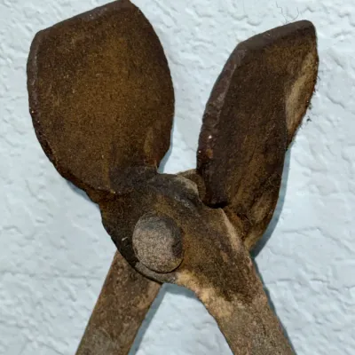 Sale Photo Thumbnail #576: Vintage heavily rusted cast iron blacksmith tongs with paddle-shaped jaws.