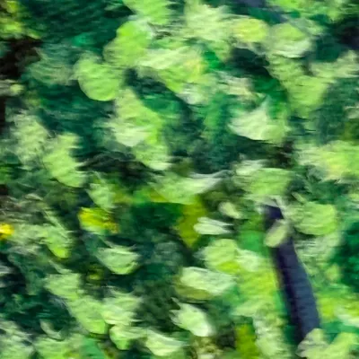 Sale Photo Thumbnail #477: Abstract oil painting detail featuring textured impasto brushstrokes in shades of green, yellow, and black.