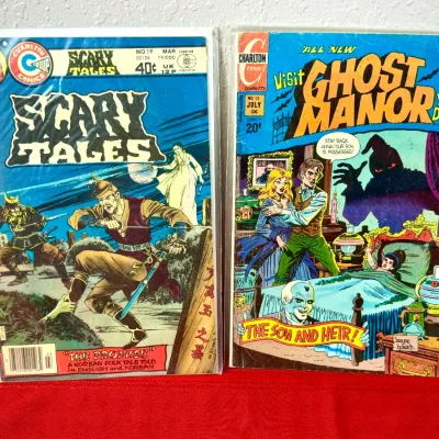 Sale Photo Thumbnail #777: Two Charlton Comics horror issues, including Scary Tales #19 (March 1979) and Ghost Manor #13 (July 1973), both bagged for protection.