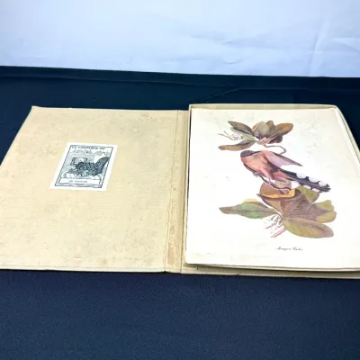 Sale Photo Thumbnail #432: Open cloth-bound portfolio featuring an Audubonesque botanical print of a bird perched on a branch, accompanied by an ex libris bookplate on the inside cover.