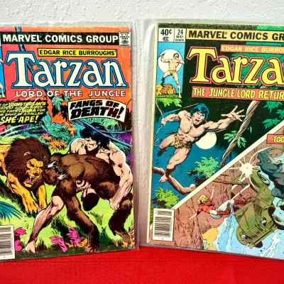 Sale Photo Thumbnail #798: Two Marvel Comics Edgar Rice Burroughs' Tarzan comic books, issues #12 and #24, bagged and boarded in mid-grade condition.