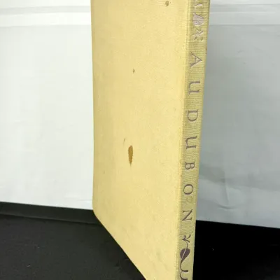 Sale Photo Thumbnail #430: Vintage hardcover copy of "Audubon" in a yellow cloth binding, showing minor age-related wear and staining on the cover.